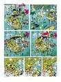 Marsupilami 15: Der Krater der Kakteen