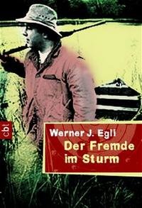 Der Fremde im Sturm