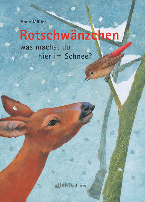 Rotschwänzchen - was machst du hier im Schnee?