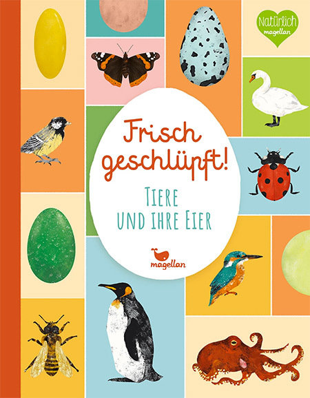 Frisch geschlüpft! - Tiere und ihre Eier