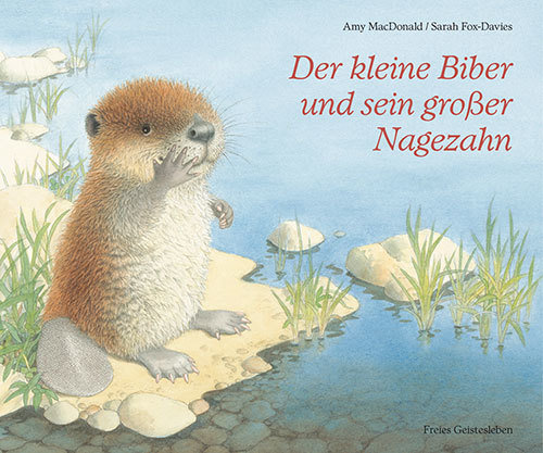 Der kleine Biber und sein großer Nagezahn