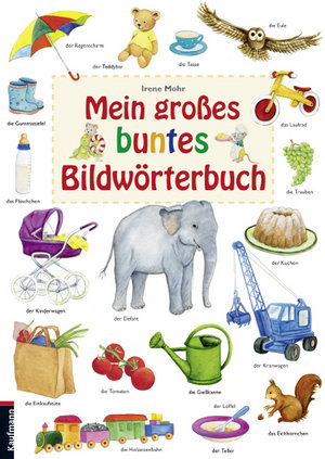 Mein grosses buntes Bildwörterbuch