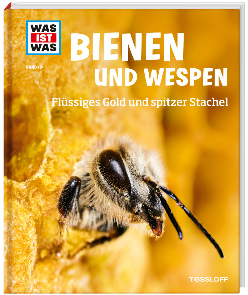 WAS IST WAS Band 19 Bienen und Wespen. Flüssiges Gold und spitzer Stachel