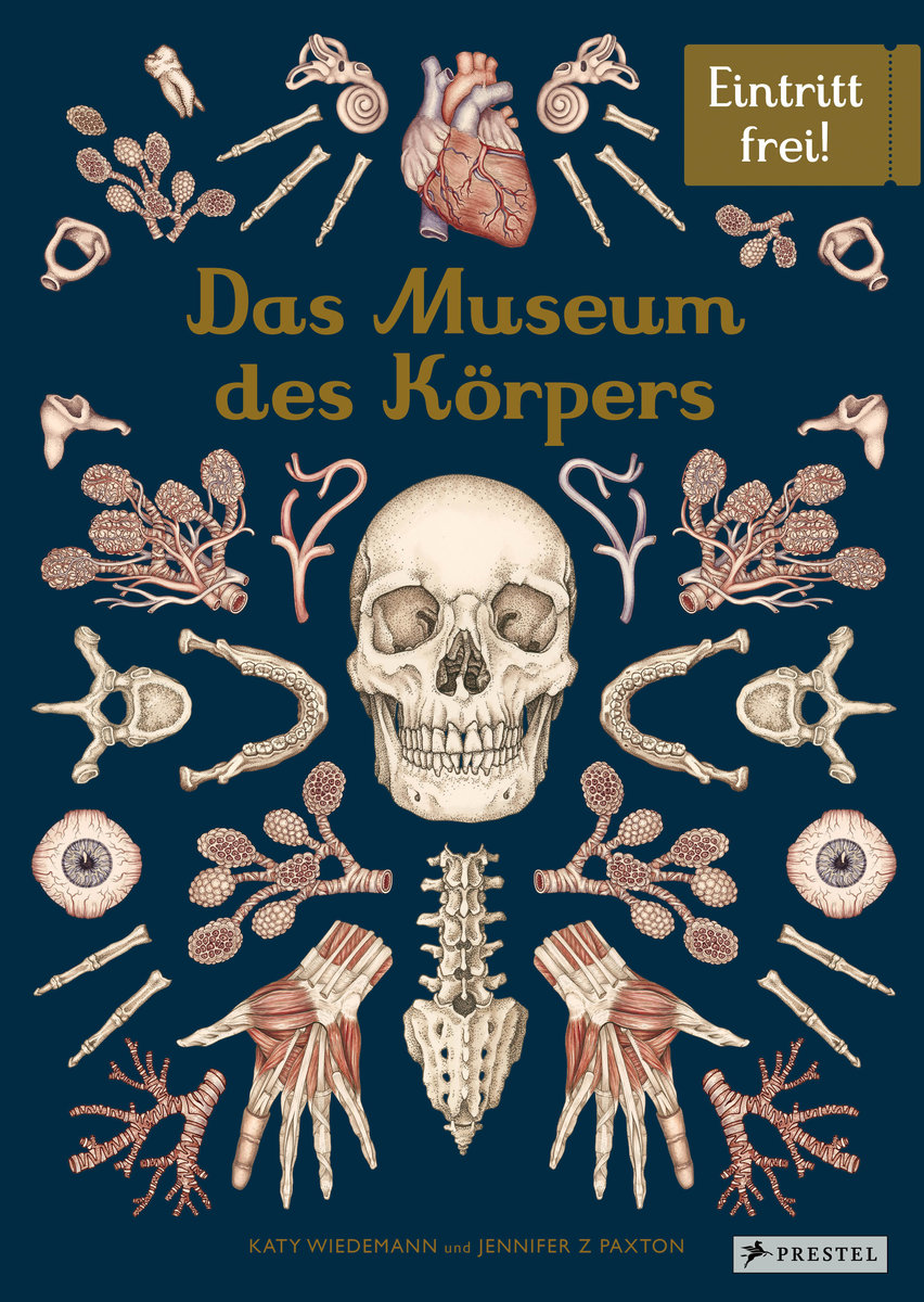 Das Museum des Körpers