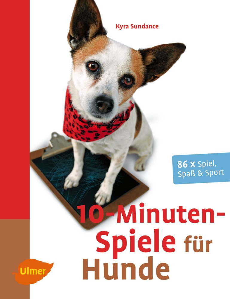 10-Minuten-Spiele für Hunde