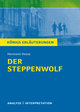 Der Steppewolf von Hermann Hesse