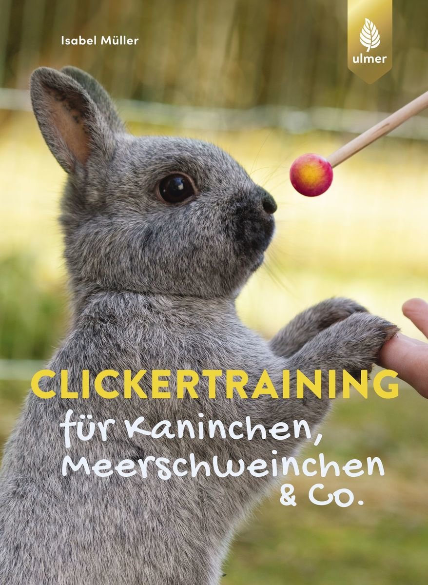 Clickertraining für Kaninchen, Meerschweinchen & Co