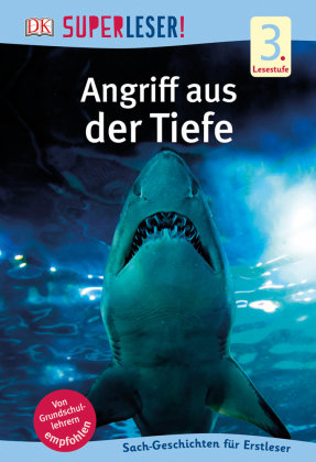 Angriff aus der Tiefe