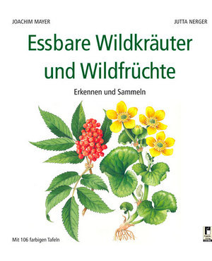 Essbare Wildkräuter und Wildfrüchte