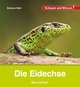 Die Eidechse