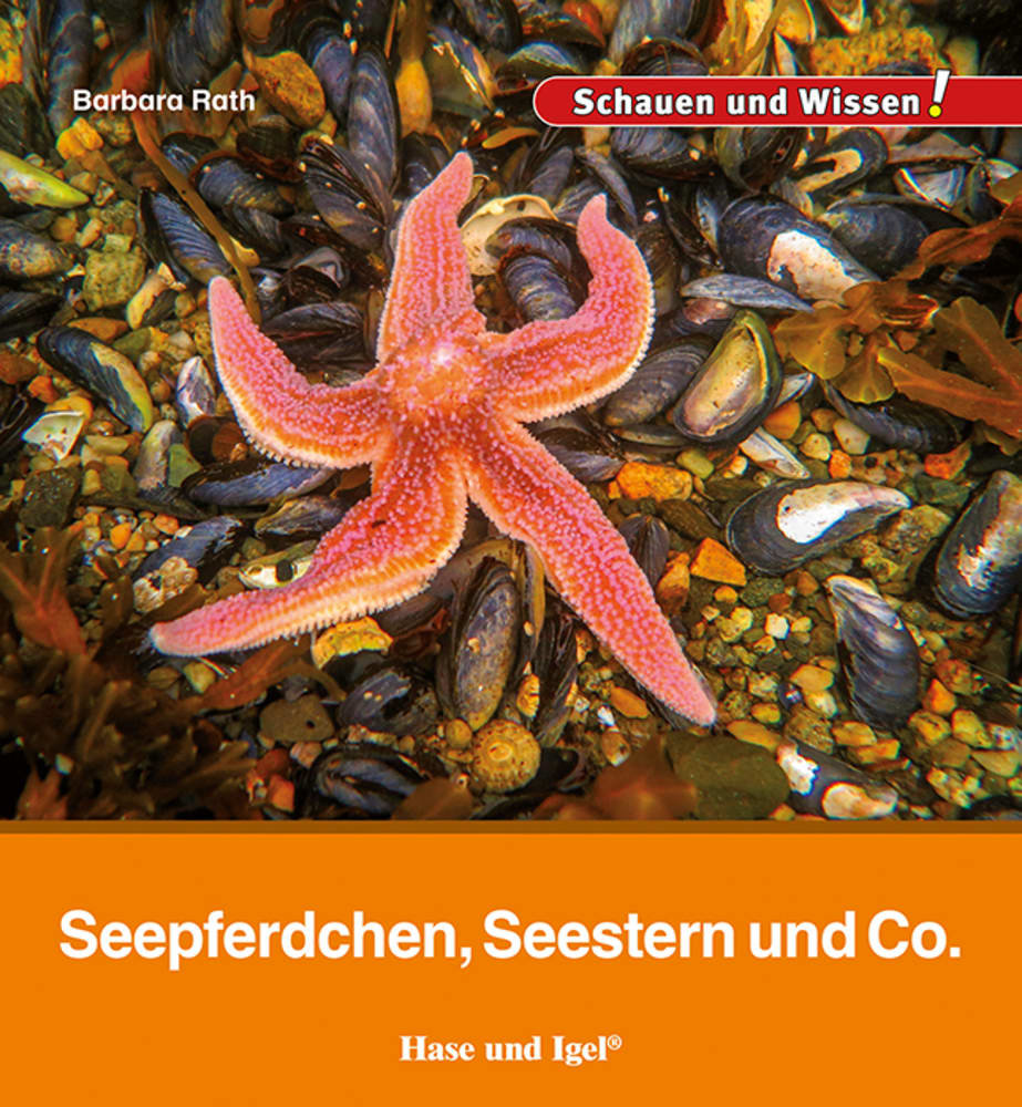 Seepferdchen, Seestern und Co