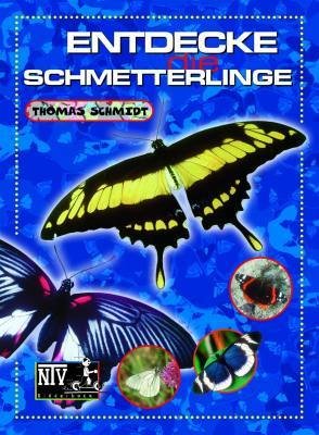 Entdecke die Schmetterlinge