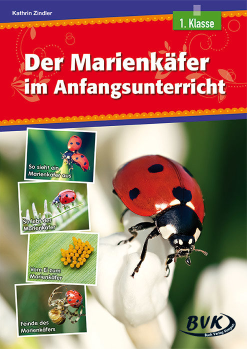 Der Marienkäfer im Anfangsunterricht