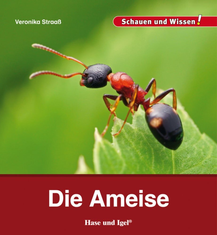 Die Ameise