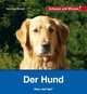 Der Hund