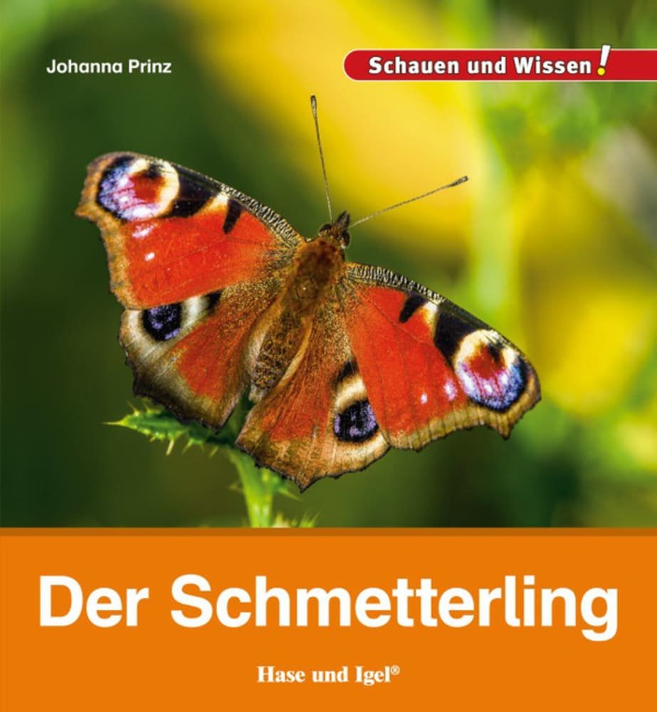 Der Schmetterling