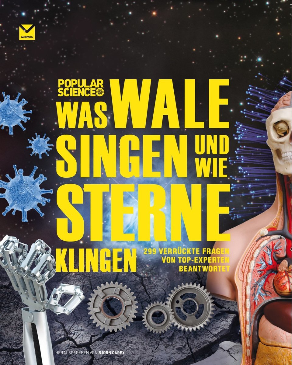 Was Wale singen und wie Sterne klingen