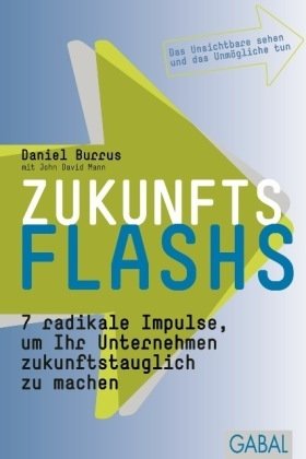 Zukunftsflashs