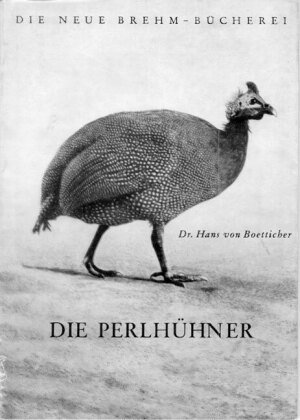 Die Perlhühner