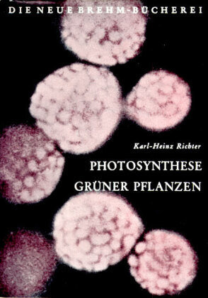 Photosynthese grüner Pflanzen