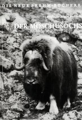 Der Moschusochs