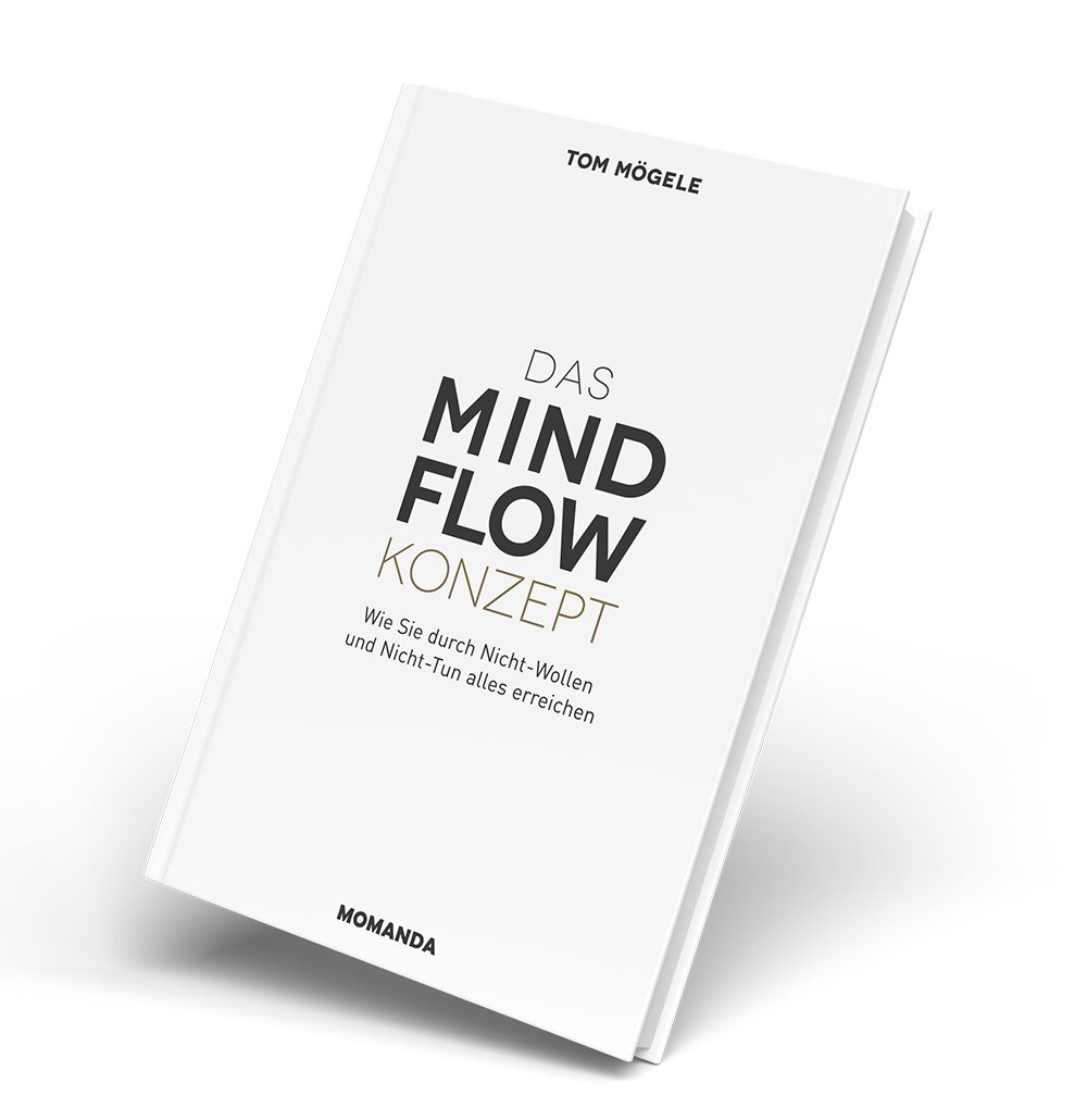 Das MindFlow Konzept