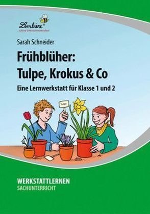 Frühblüher: Tulpe, Krokus & Co, 1 CD-ROM