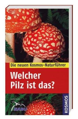 Welcher Pilz ist das?