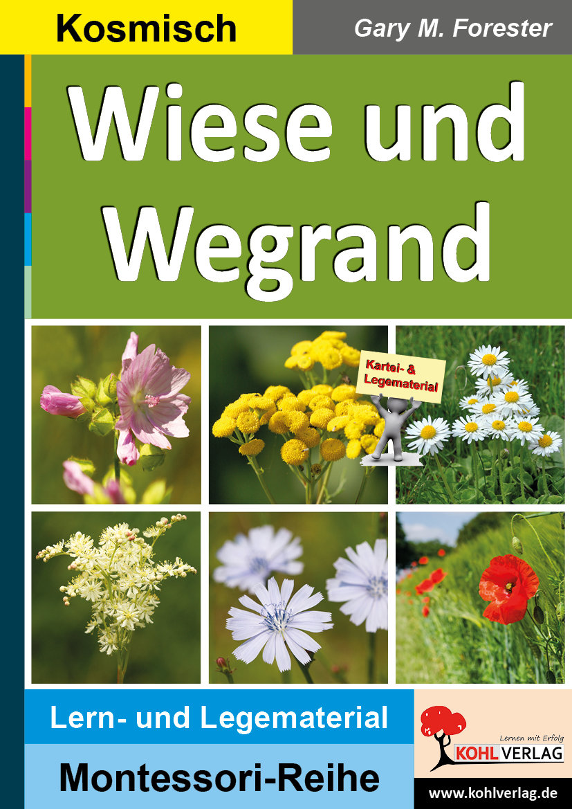 Wiese und Wegrand