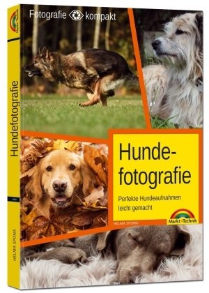 Hundefotografie