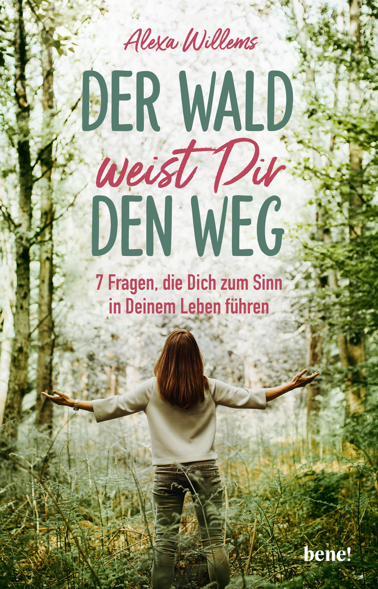 Der Wald weist dir den Weg