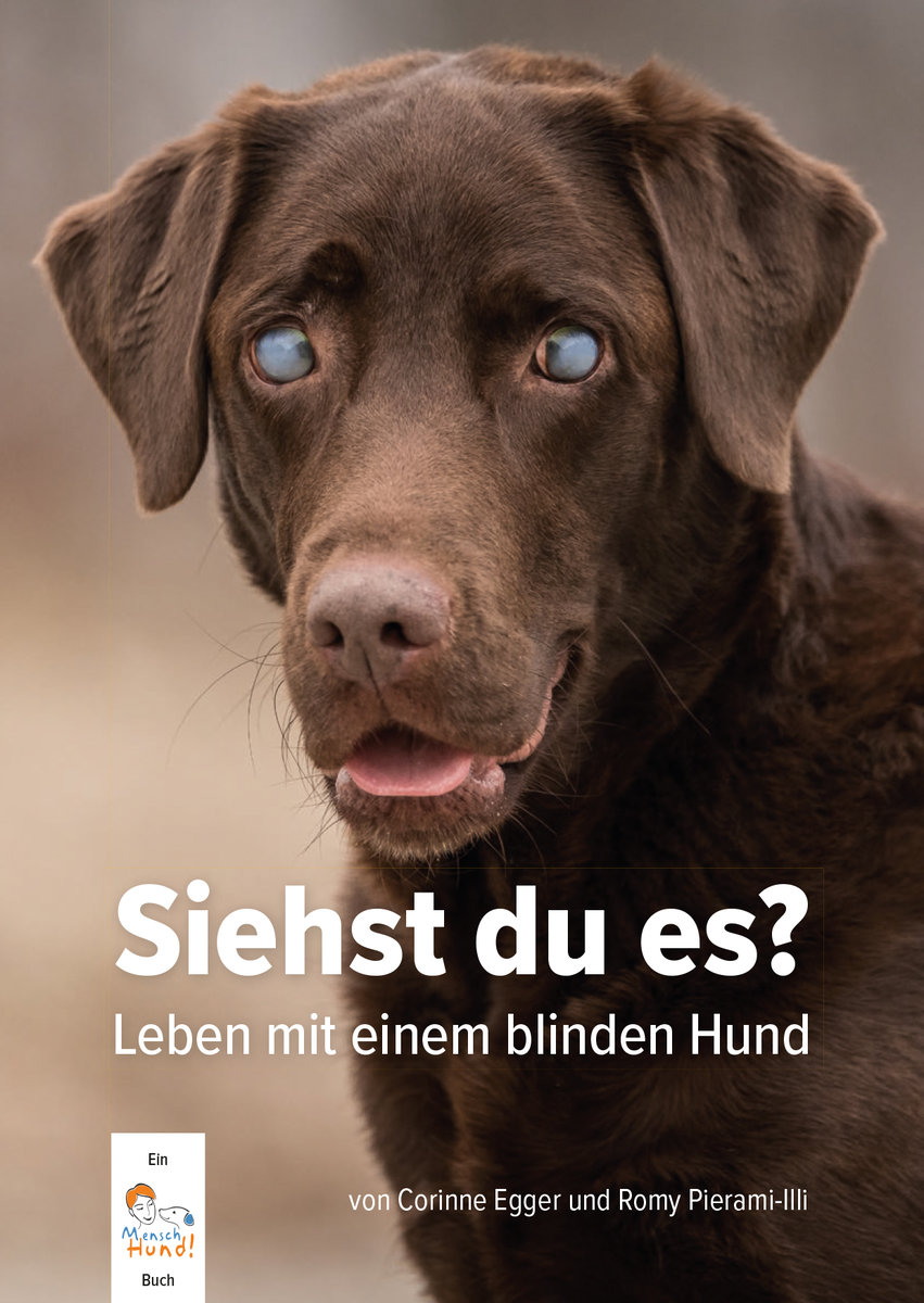 Siehst du es?