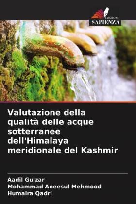 Valutazione della qualità delle acque sotterranee dell'Himalaya meridionale del Kashmir