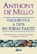 Encuentra a Dios en todas partes : reflexiones sobre los ejercicios espirituales de san Ignacio de Loyola