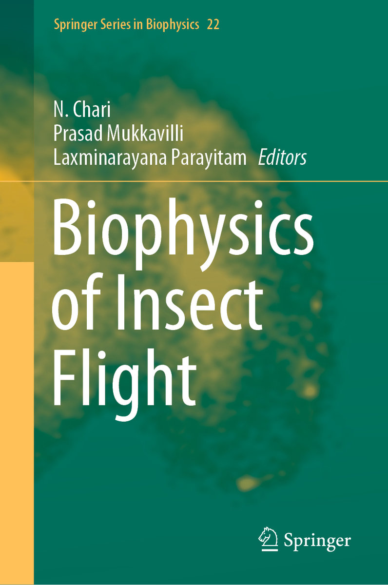 Biophysics of Insect Flight